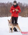 13.02.2026, Большой Машкинский приют, Химки