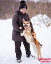 13.02.2026, Большой Машкинский приют, Химки