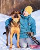 17.02.2026, Большой Машкинский приют, Химки
